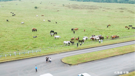 ドローンで撮影した、北海道十勝の画像